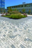 University Newark Delaware 3