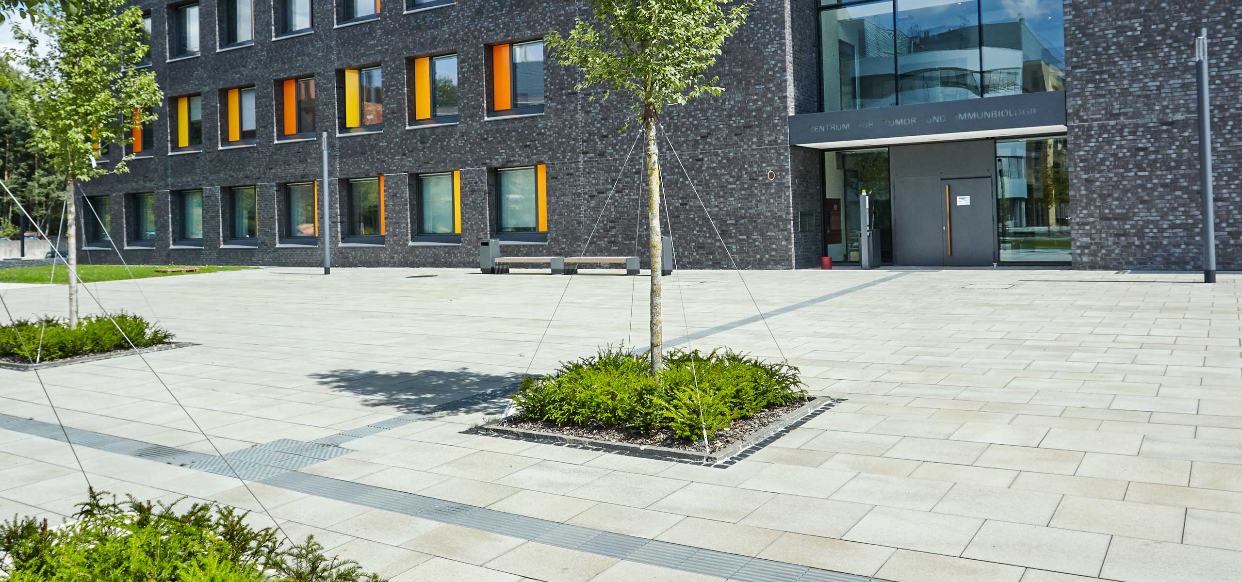 Umbriano Universitaet Marburg 2203 4496