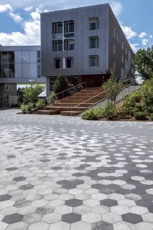 Umbriano Amherst College 3048