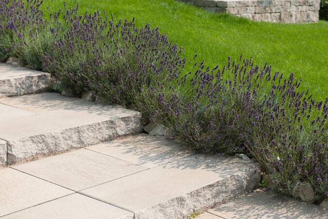 Umbriano Granitbeige gemasert in Kombination mit Tocano-Blockstufen Umbriano Granitbeige gemasert mit bossiertem Stoß