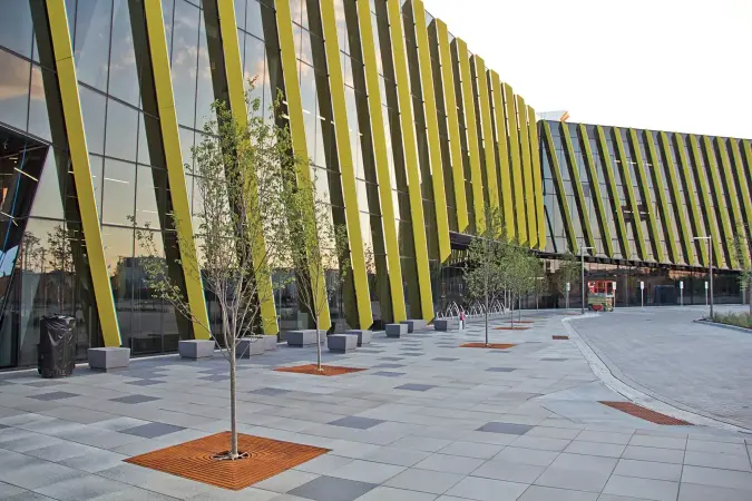 Umbriano University Illinois 2484